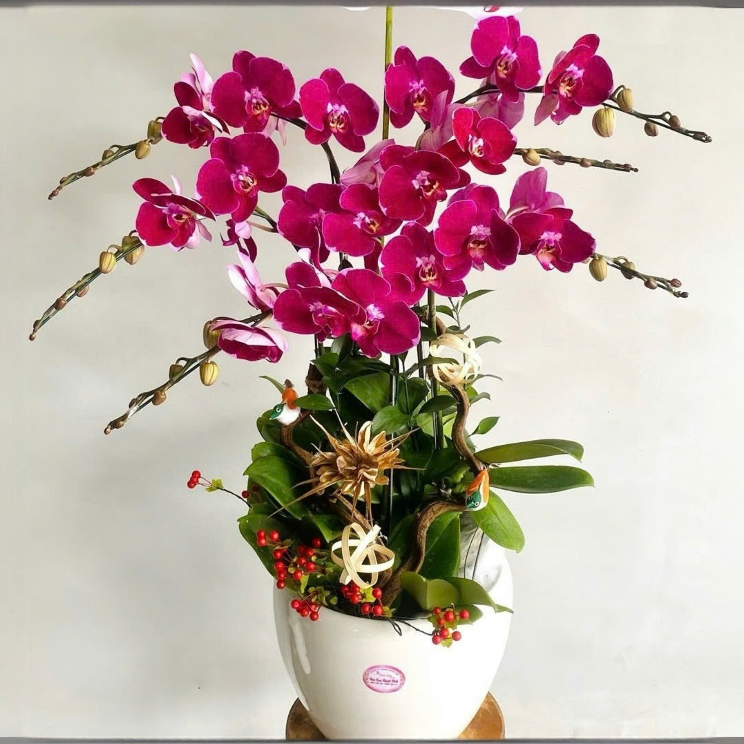 Lam hồ điệp màu tím cherry 6 cành - TM127